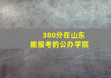 380分在山东能报考的公办学院