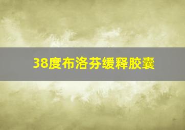 38度布洛芬缓释胶囊