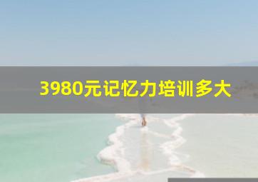 3980元记忆力培训多大