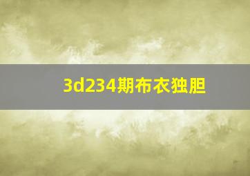 3d234期布衣独胆