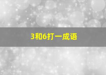 3和6打一成语