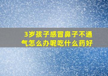 3岁孩子感冒鼻子不通气怎么办呢吃什么药好