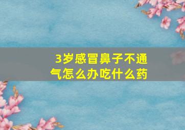 3岁感冒鼻子不通气怎么办吃什么药