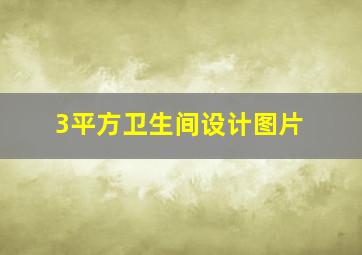 3平方卫生间设计图片