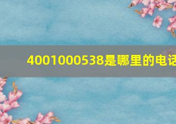 4001000538是哪里的电话