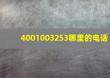 4001003253哪里的电话