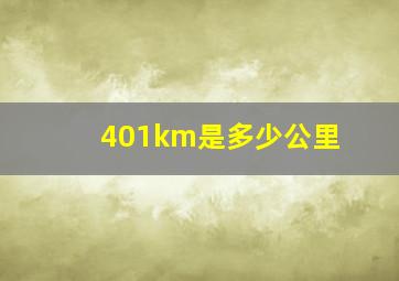 401km是多少公里