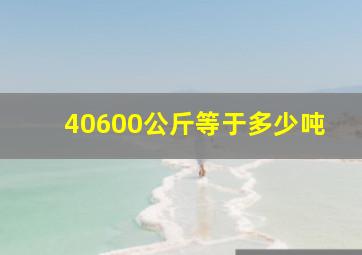 40600公斤等于多少吨