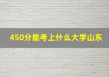 450分能考上什么大学山东