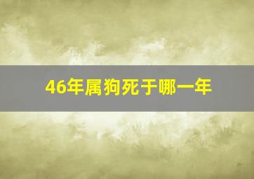 46年属狗死于哪一年