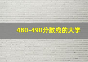 480-490分数线的大学