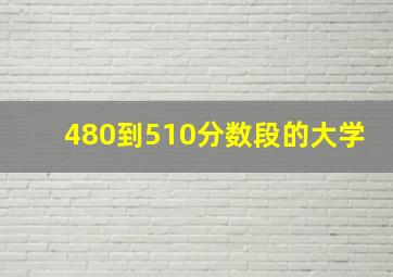 480到510分数段的大学