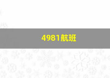 4981航班