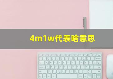 4m1w代表啥意思