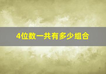 4位数一共有多少组合