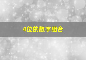 4位的数字组合