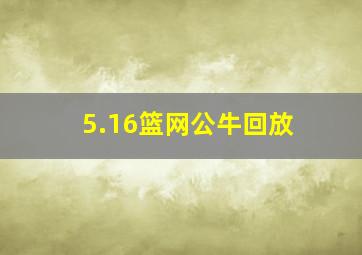 5.16篮网公牛回放