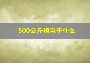 500公斤相当于什么