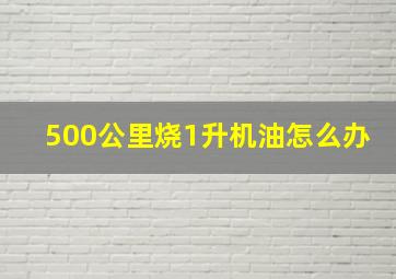 500公里烧1升机油怎么办