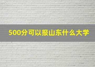 500分可以报山东什么大学