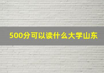 500分可以读什么大学山东