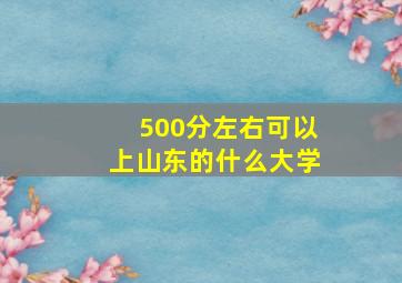 500分左右可以上山东的什么大学