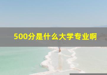 500分是什么大学专业啊