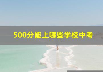 500分能上哪些学校中考