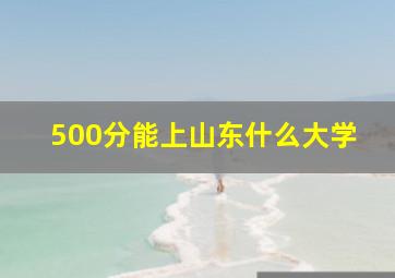 500分能上山东什么大学