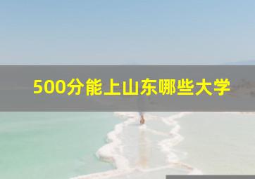 500分能上山东哪些大学