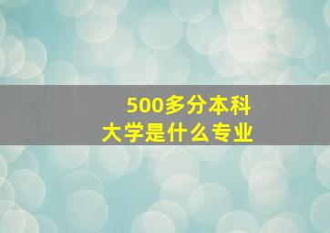 500多分本科大学是什么专业