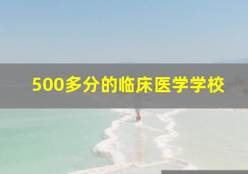 500多分的临床医学学校