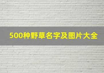 500种野草名字及图片大全