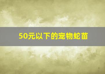 50元以下的宠物蛇苗