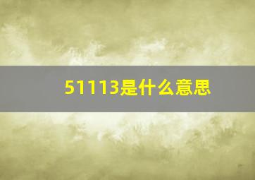 51113是什么意思