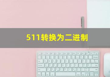 511转换为二进制