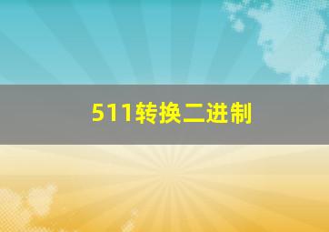 511转换二进制