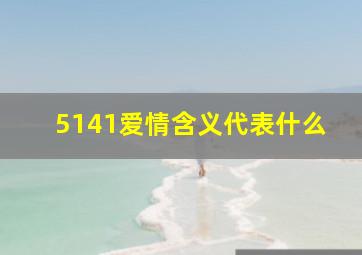 5141爱情含义代表什么