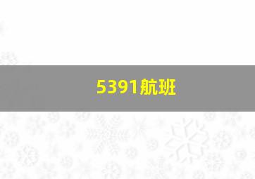 5391航班