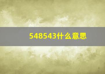 548543什么意思