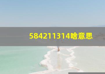 584211314啥意思