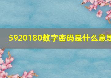 5920180数字密码是什么意思