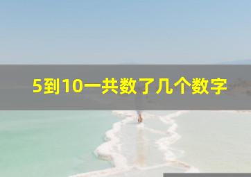 5到10一共数了几个数字