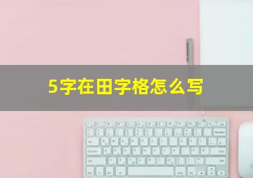 5字在田字格怎么写