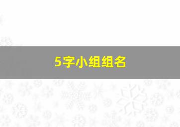 5字小组组名