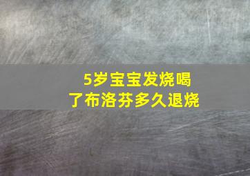 5岁宝宝发烧喝了布洛芬多久退烧