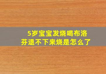 5岁宝宝发烧喝布洛芬退不下来烧是怎么了