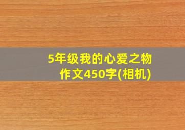 5年级我的心爱之物作文450字(相机)