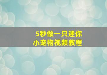 5秒做一只迷你小宠物视频教程