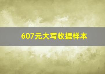 607元大写收据样本